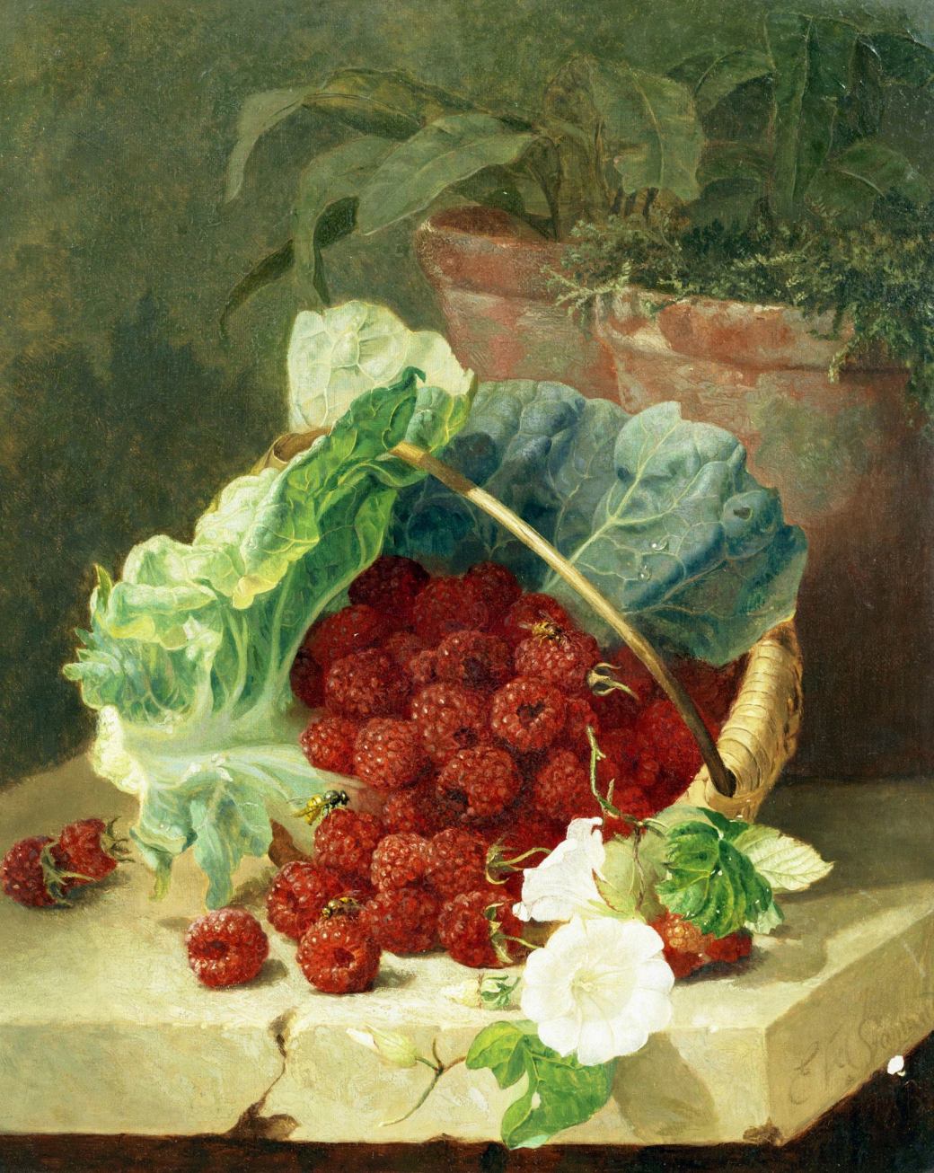 11418928_1600778170207066_5676128302067191383_o