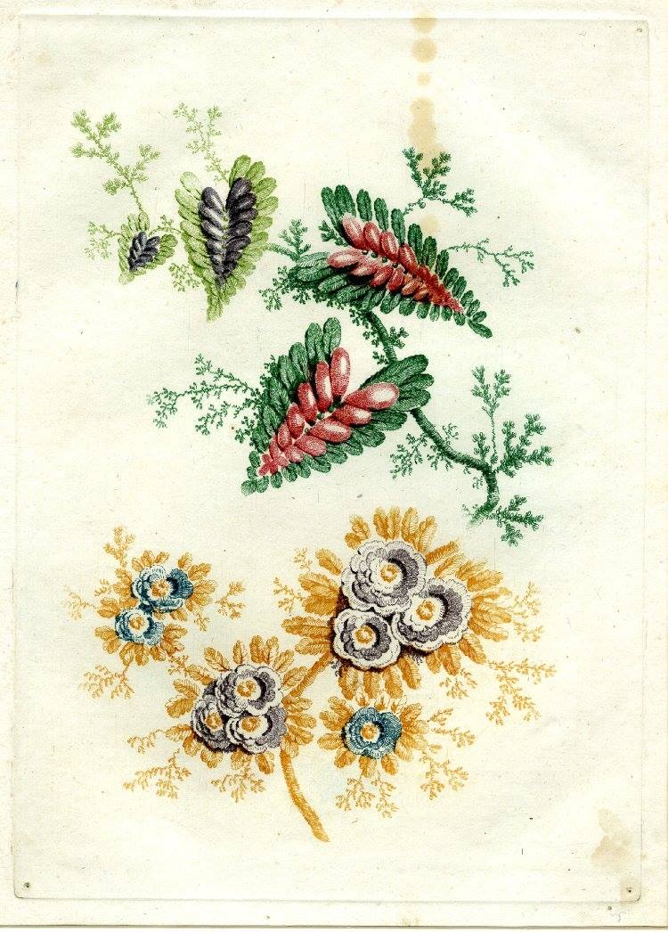 13029649_1710524939232388_2195525709492864177_o