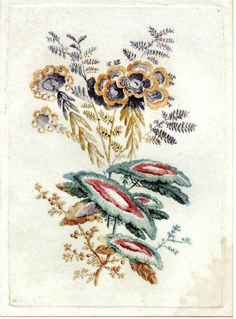 13047801_1710524722565743_8164660630748997561_o