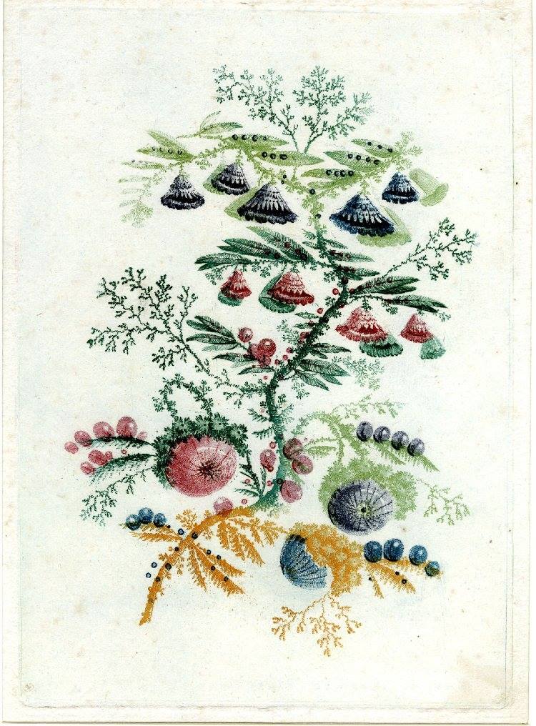 13048264_1710522162565999_4320377523269844417_o