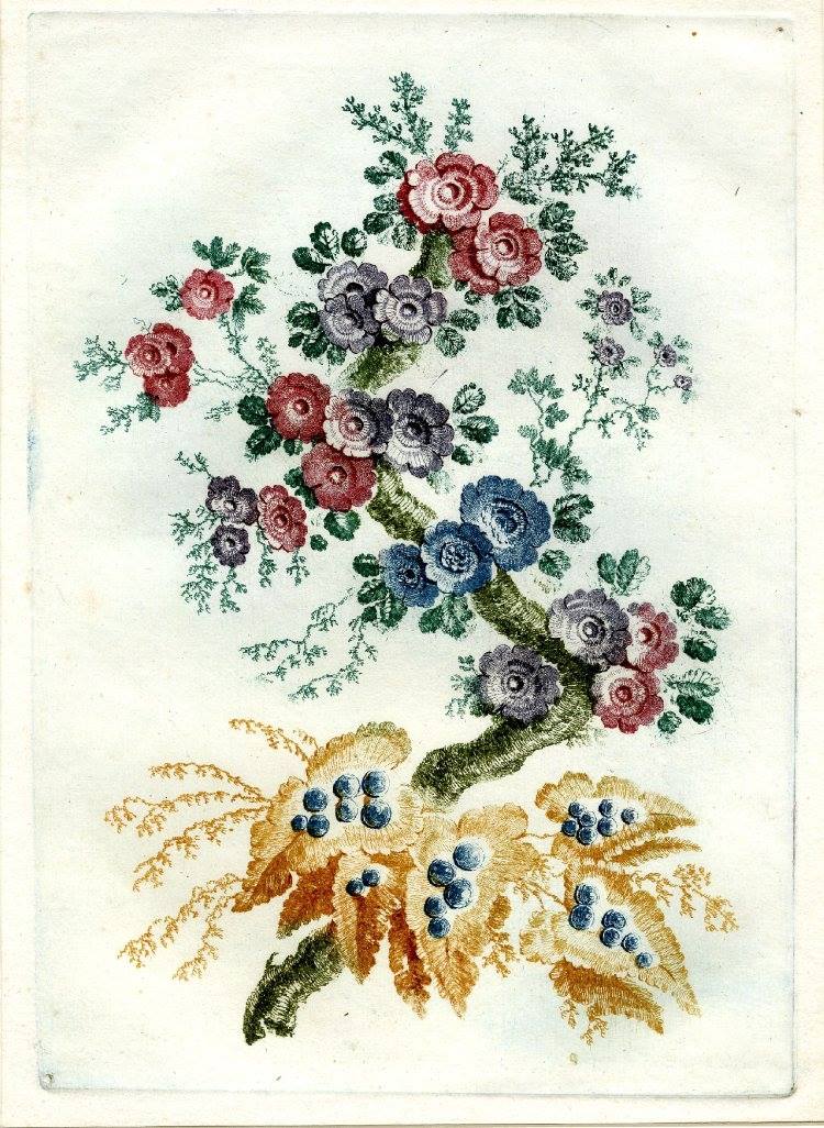 13063329_1710507792567436_596943662873863415_o