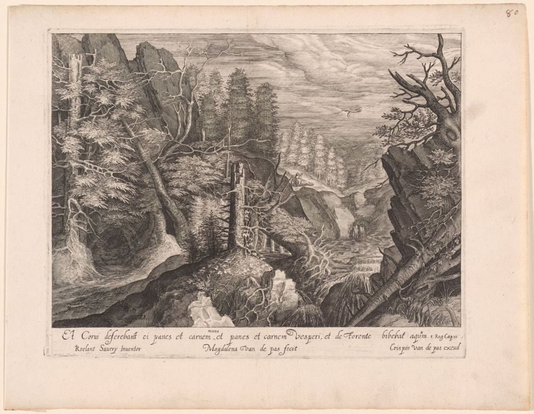 13442698_1738329273118621_5391626795825487552_o