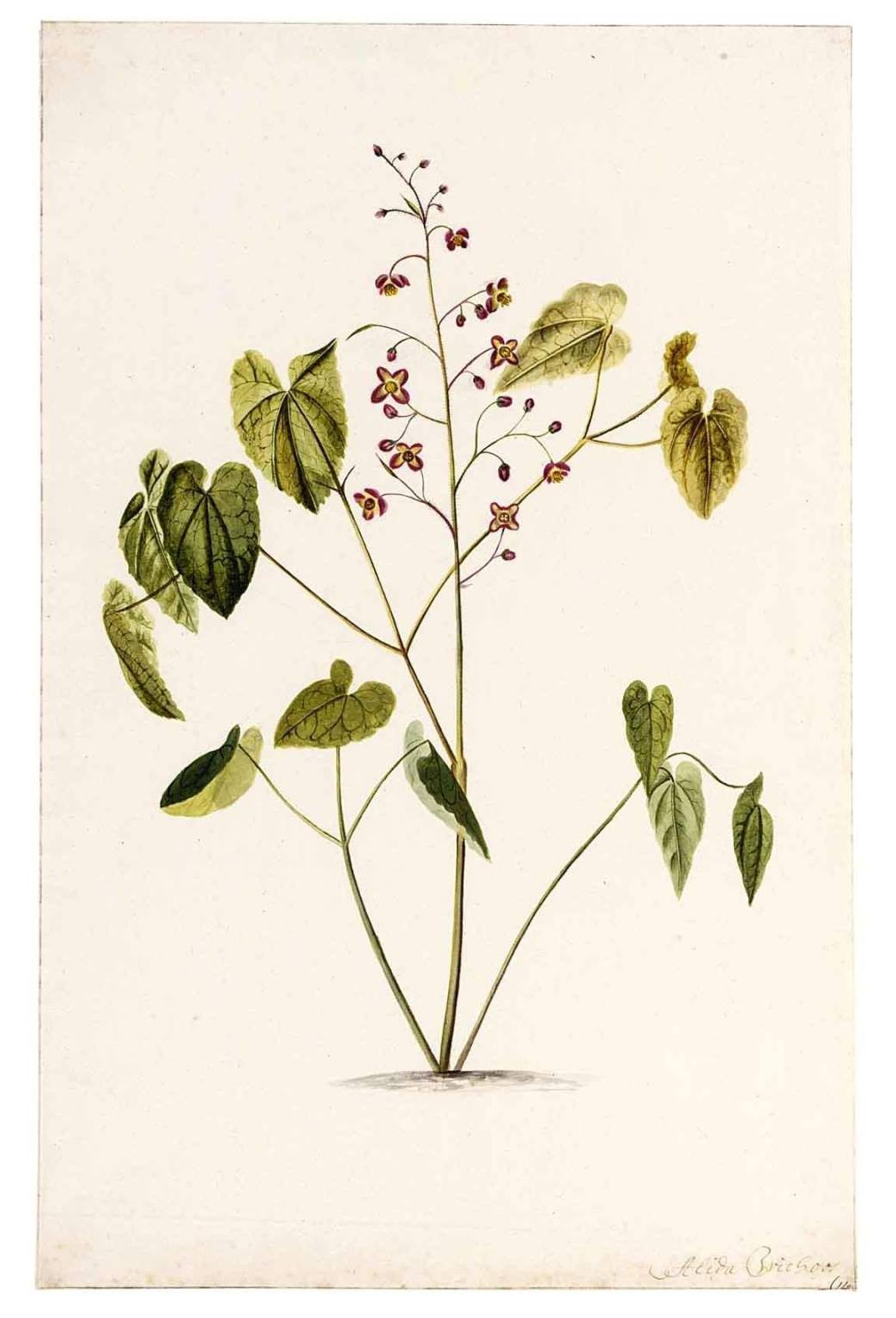 11060918_1645321662419383_7471995025271629889_o