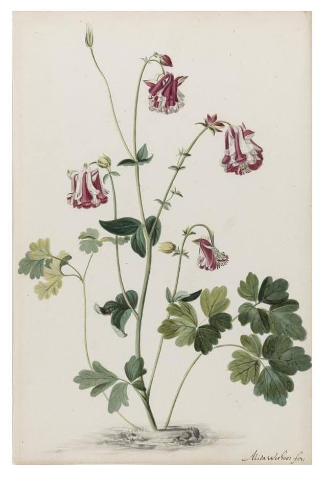 12191878_1645323545752528_4909686282152989855_n