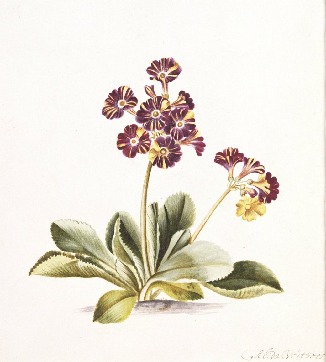 1501259_1645332339084982_8926562339976686420_o