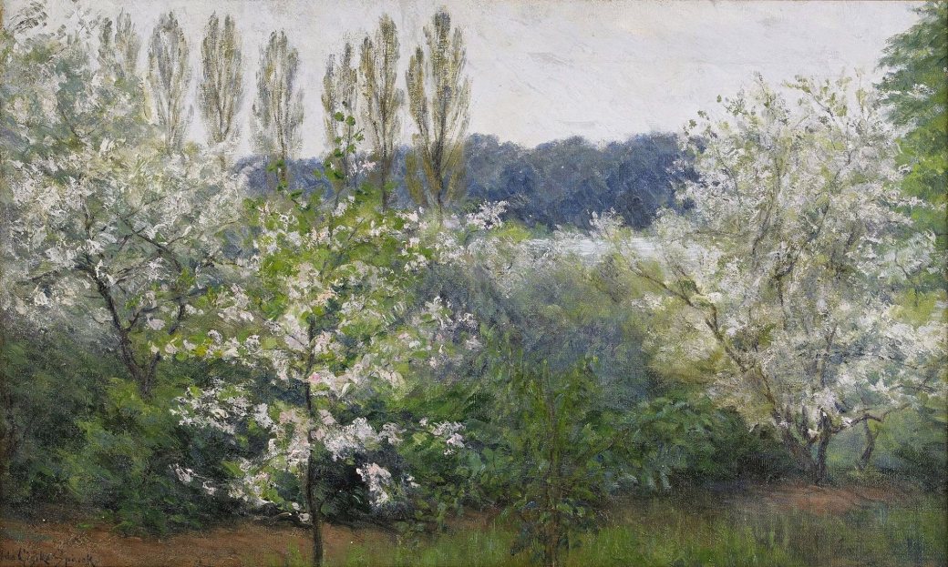 11415504_1600493076902242_5388857193002443356_o