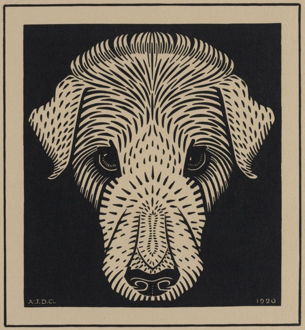 17097853_1860322127586001_3198028235386841529_o