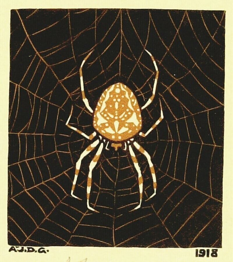 17103735_1860329607585253_5627499965580394698_n