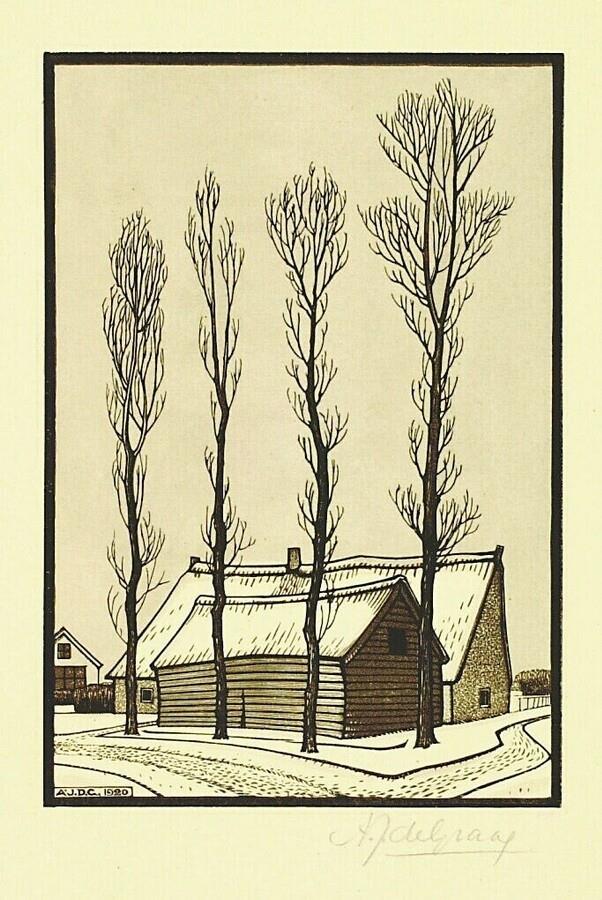 17796837_1877467629204784_2059624271569632995_n