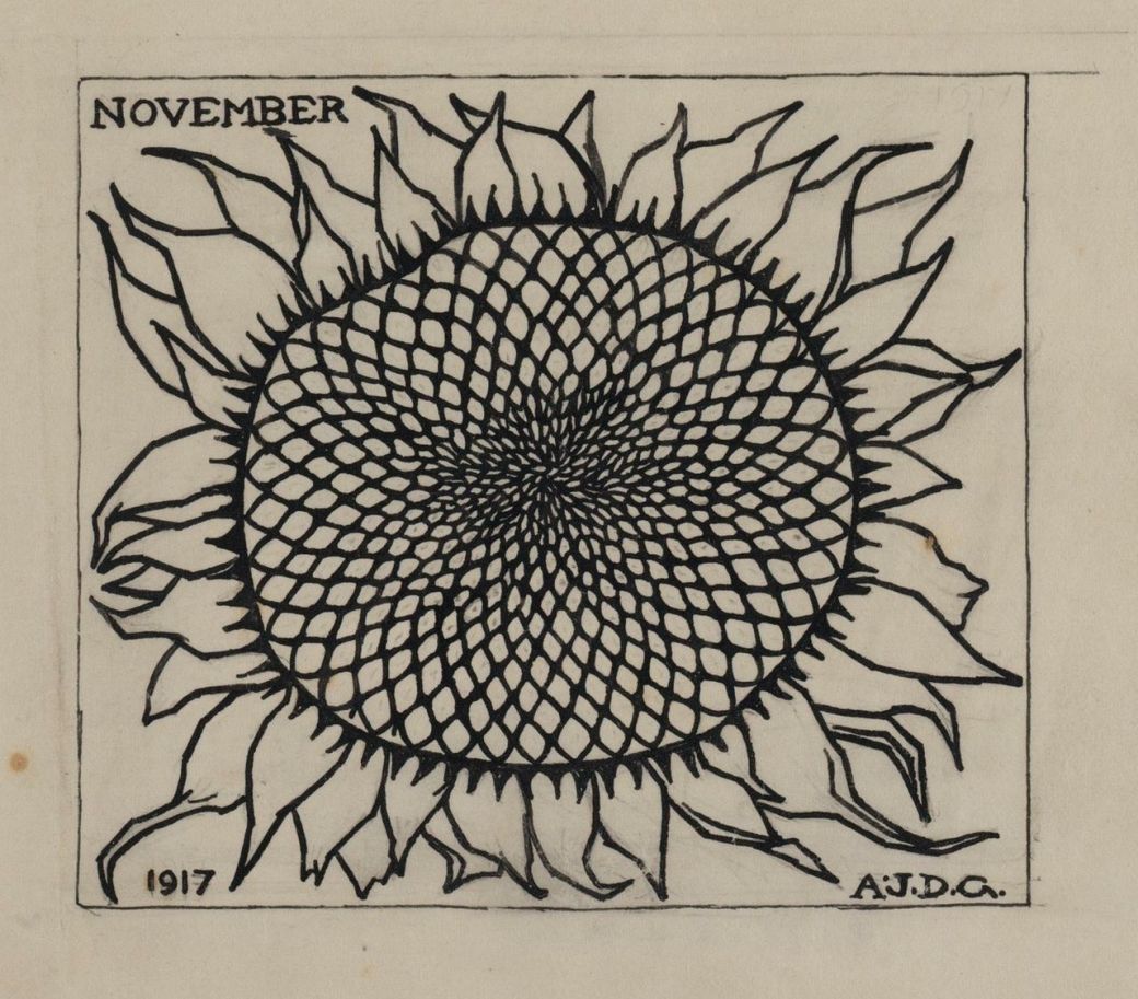 20247720_1937376226547257_2313737278154318847_o