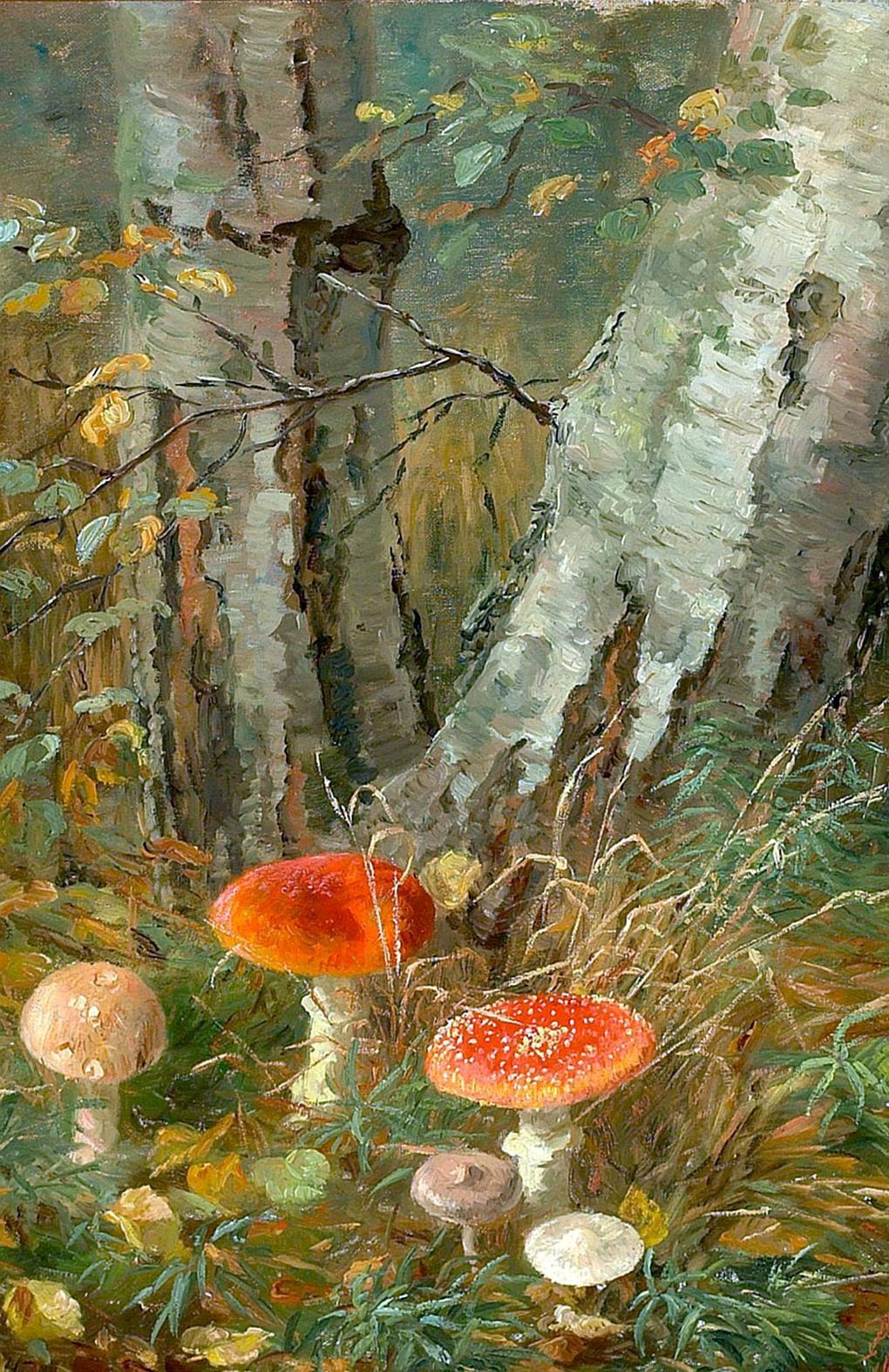 21762813_1967193803565499_3428646129483889295_o