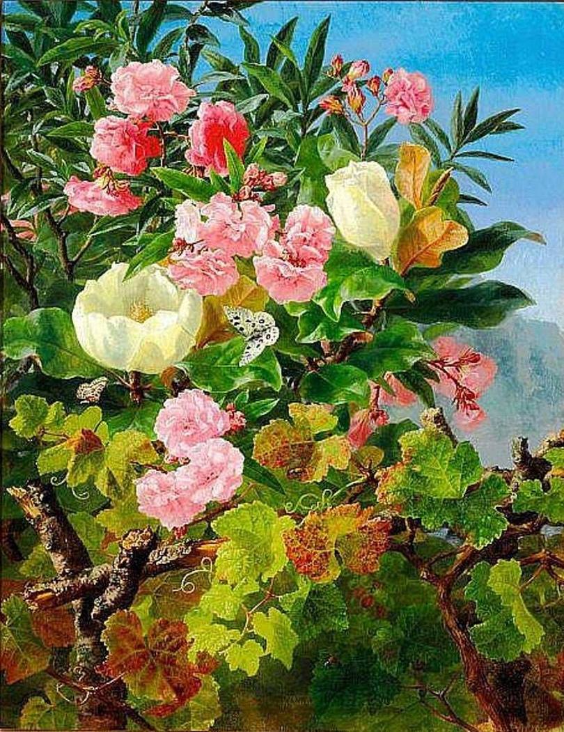 23215581_1990435704574642_3909757732948006558_o