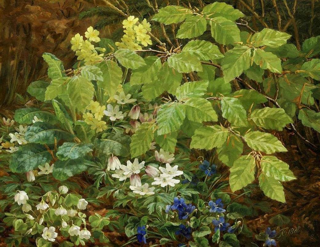 23215627_1990450597906486_571913814155037743_o