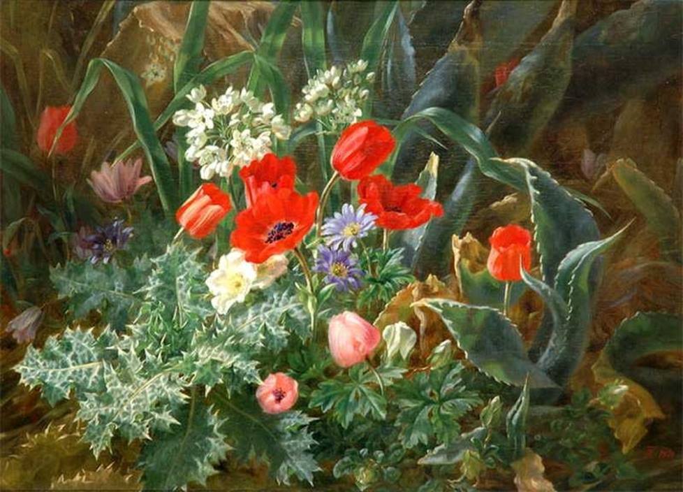 23270560_1990452271239652_108044443397713072_o