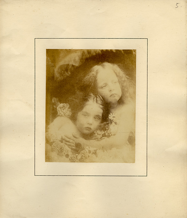 01_English_Blossoms_(5332646216)