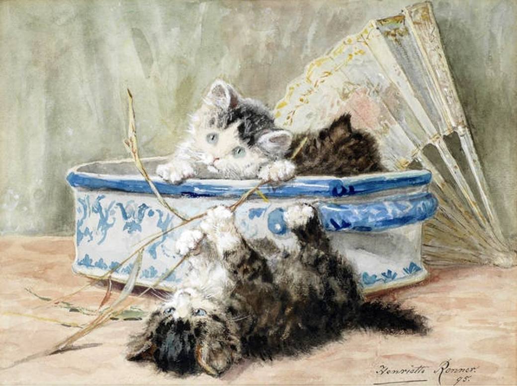 10463739_1423029604648591_5598864996359168479_o