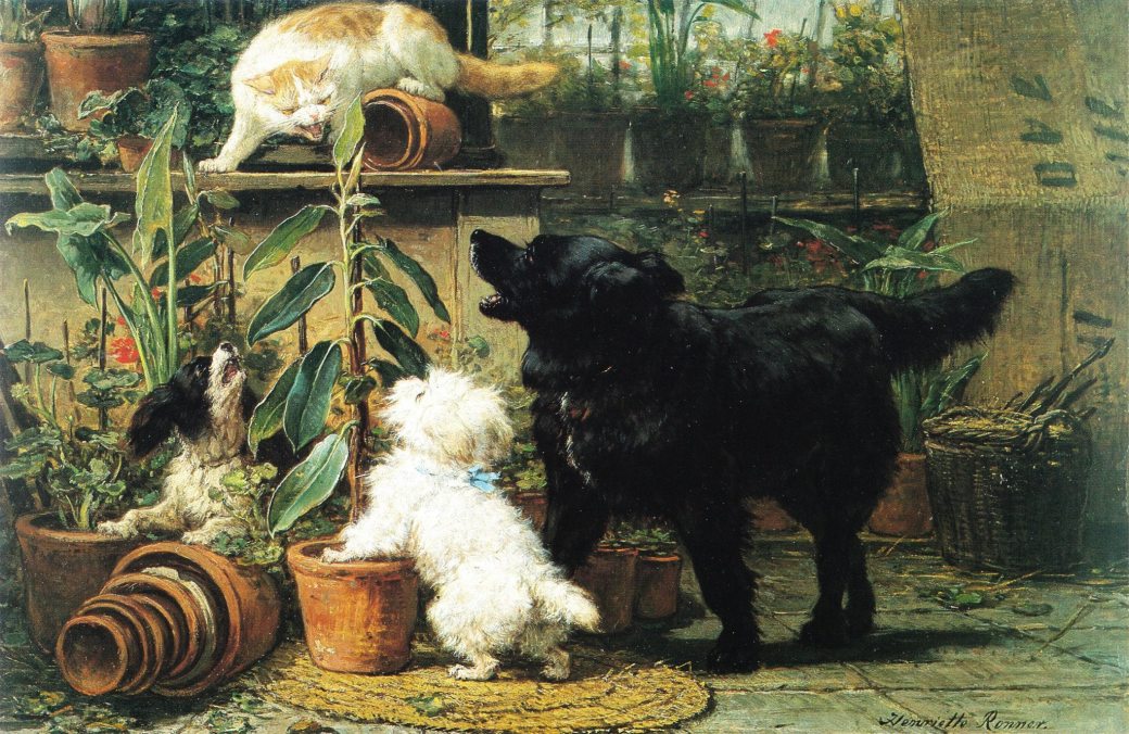 10914980_1524521317832752_1667649266326297705_o