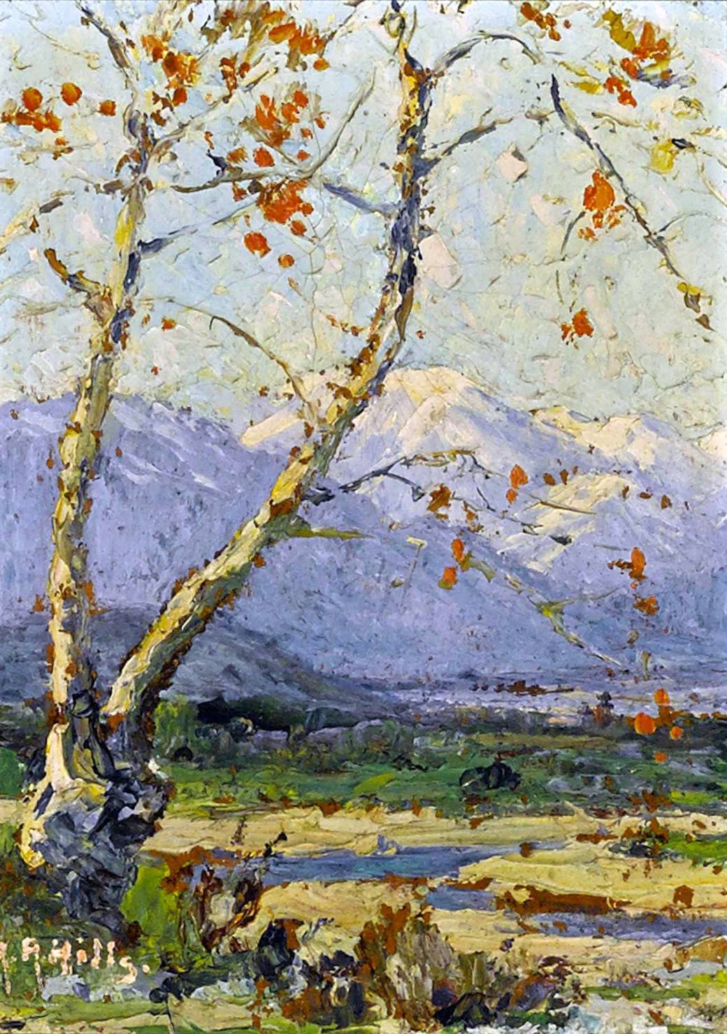 12188023_1646959592255590_7527481426667200633_o