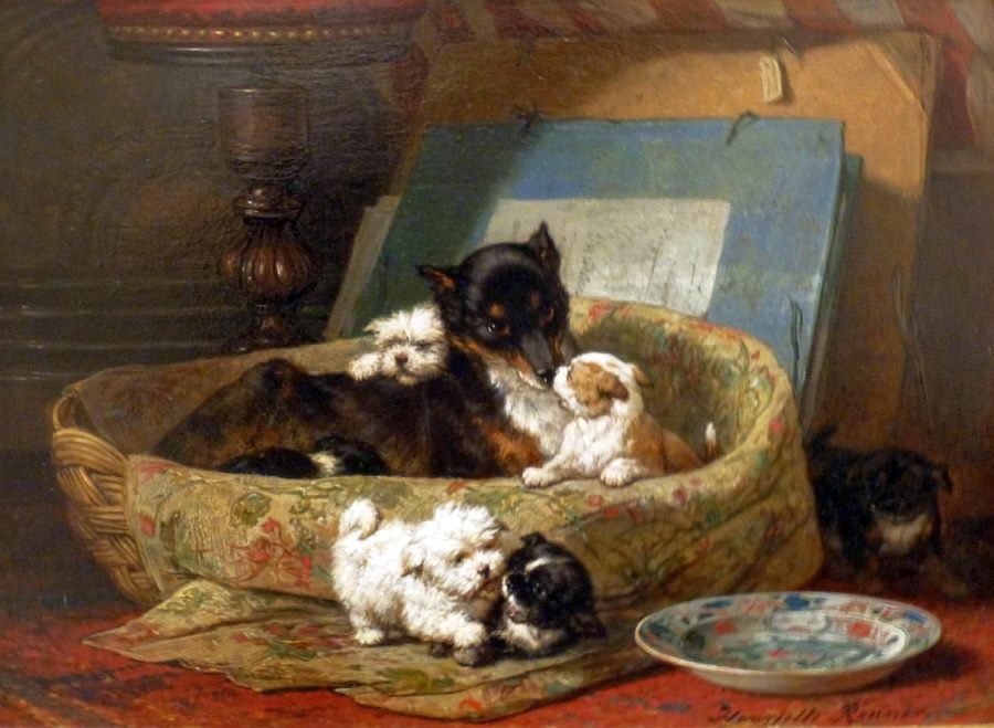 17119_1568277093457174_1309921800199670003_n