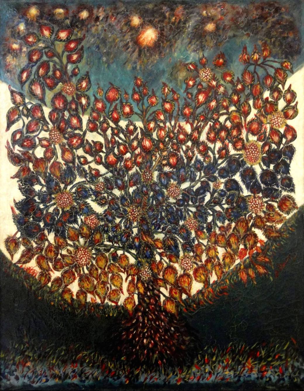 12339613_1660377450913804_3186565778623903334_o