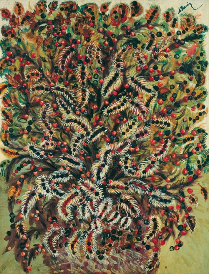 52532865_2285248488426694_2414653484512051200_n